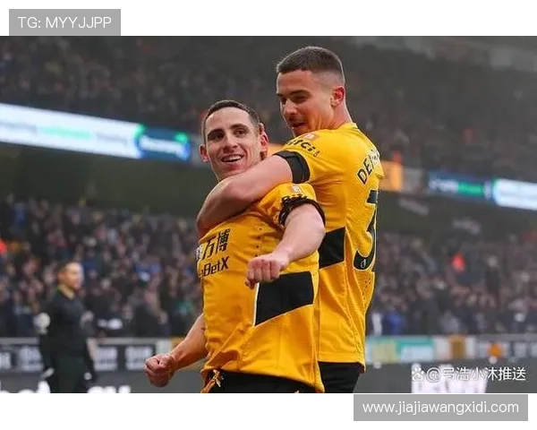 狼队新赛季迎来全新阵容变化 球迷期待大黑马崛起