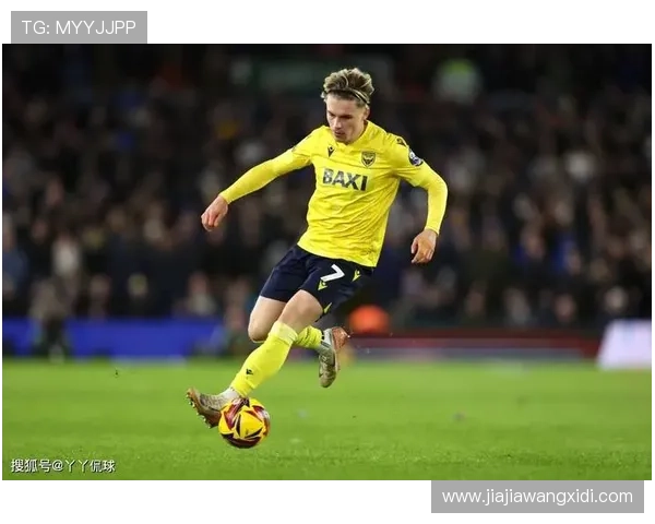 卡迪夫城足球俱乐部的辉煌历史与未来发展展望