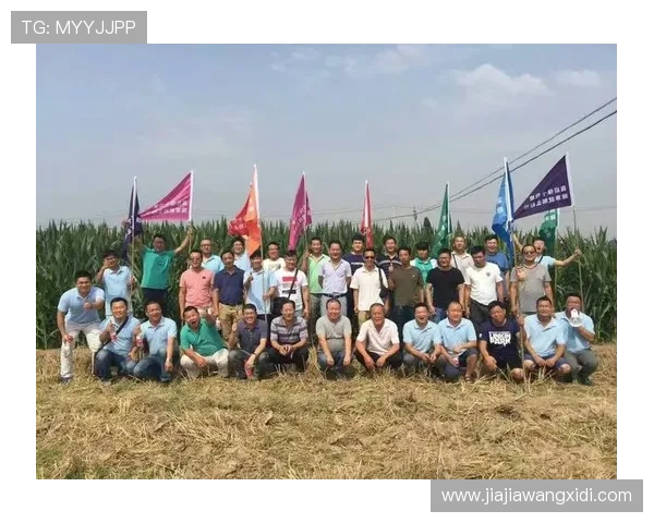 欧塞尔俱乐部历程回顾与未来展望：重塑辉煌之路