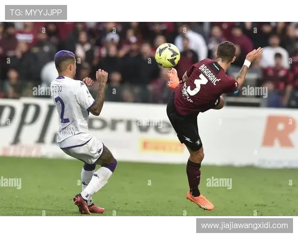 深度解析萨勒尼塔纳俱乐部发展历程与未来战略前景全面展望探